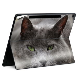 Surface Pro 12 �C���` (2025) �p �X�L���V�[�� �S�ʃX�L���V�[�� �t�� SurfacePro12 �p �w�� �� �X�e�b�J�[ �ی�V�[�� ���i���Ĕ������V�[�g �L�����N�^�[ ���킢�� 023396 �����@��@�l�� 002650 �L�@��