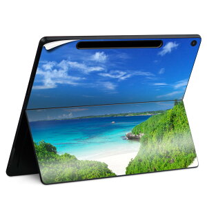 Surface Pro 12 �C���` (2025) �p �X�L���V�[�� �S�ʃX�L���V�[�� �t�� SurfacePro12 �p �w�� �� �X�e�b�J�[ �ی�V�[�� ���i���Ĕ������V�[�g �L�����N�^�[ ���킢�� 023396 �����@��@�l�� 002777 �ā@�C