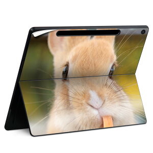 Surface Pro 12 C` (2025) p XLV[ SʃXLV[ t SurfacePro12 p w  XebJ[ یV[ iĔV[g LN^[ 킢 023396 @@l 002807 