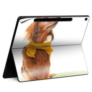 Surface Pro 12 �C���` (2025) �p �X�L���V�[�� �S�ʃX�L���V�[�� �t�� SurfacePro12 �p �w�� �� �X�e�b�J�[ �ی�V�[�� ���i���Ĕ������V�[�g �L�����N�^�[ ���킢�� 023396 �����@��@�l�� 002852 ���@��
