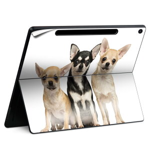 Surface Pro 12 �C���` (2025) �p �X�L���V�[�� �S�ʃX�L���V�[�� �t�� SurfacePro12 �p �w�� �� �X�e�b�J�[ �ی�V�[�� ���i���Ĕ������V�[�g �L�����N�^�[ ���킢�� 023396 �����@��@�l�� 002885 ���@��