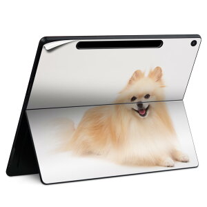 Surface Pro 12 �C���` (2025) �p �X�L���V�[�� �S�ʃX�L���V�[�� �t�� SurfacePro12 �p �w�� �� �X�e�b�J�[ �ی�V�[�� ���i���Ĕ������V�[�g �L�����N�^�[ ���킢�� 023396 �����@��@�l�� 002911 ���@��