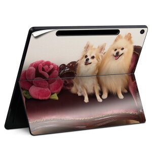 Surface Pro 12 C` (2025) p XLV[ SʃXLV[ t SurfacePro12 p w  XebJ[ یV[ iĔV[g LN^[ 킢 023396 @@l 002913 @