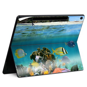 Surface Pro 12 �C���` (2025) �p �X�L���V�[�� �S�ʃX�L���V�[�� �t�� SurfacePro12 �p �w�� �� �X�e�b�J�[ �ی�V�[�� ���i���Ĕ������V�[�g �L�����N�^�[ ���킢�� 023396 �����@��@�l�� 003328 �C�@�O