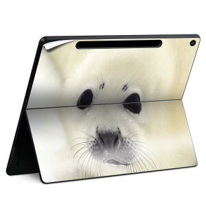 Surface Pro 12 C` (2025) p XLV[ SʃXLV[ t SurfacePro12 p w  XebJ[ یV[ iĔV[g LN^[ 킢 023396 @@l 003567 @