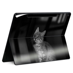 Surface Pro 12 �C���` (2025) �p �X�L���V�[�� �S�ʃX�L���V�[�� �t�� SurfacePro12 �p �w�� �� �X�e�b�J�[ �ی�V�[�� ���i���Ĕ������V�[�g �L�����N�^�[ ���킢�� 023396 �����@��@�l�� 022866 �L�@��