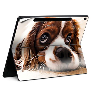 Surface Pro 12 �C���` (2025) �p �X�L���V�[�� �S�ʃX�L���V�[�� �t�� SurfacePro12 �p �w�� �� �X�e�b�J�[ �ی�V�[�� ���i���Ĕ������V�[�g �L�����N�^�[ ���킢�� 023396 �����@��@�l�� 022868 ���@��