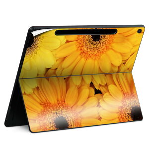 Surface Pro 12 �C���` (2025) �p �X�L���V�[�� �S�ʃX�L���V�[�� �t�� SurfacePro12 �p �w�� �� �X�e�b�J�[ �ی�V�[�� ���i���Ĕ������V�[�g �L�����N�^�[ ���킢�� 023396 �����@��@�l�� 022918 �ԁ@��