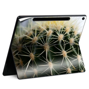 Surface Pro 12 �C���` (2025) �p �X�L���V�[�� �S�ʃX�L���V�[�� �t�� SurfacePro12 �p �w�� �� �X�e�b�J�[ �ی�V�[�� ���i���Ĕ������V�[�g �L�����N�^�[ ���킢�� 023396 �����@��@�l�� 023055 �T�{�e