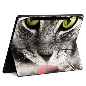 Surface Pro 12 �C���` (2025) �p �X�L���V�[�� �S�ʃX�L���V�[�� �t�� SurfacePro12 �p �w�� �� �X�e�b�J�[ �ی�V�[�� ���i���Ĕ������V�[�g �L�����N�^�[ ���킢�� 023396 �����@��@�l�� 023078 �L�@��