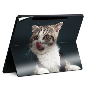 Surface Pro 12 �C���` (2025) �p �X�L���V�[�� �S�ʃX�L���V�[�� �t�� SurfacePro12 �p �w�� �� �X�e�b�J�[ �ی�V�[�� ���i���Ĕ������V�[�g �L�����N�^�[ ���킢�� 023396 �����@��@�l�� 023096 �L�@��