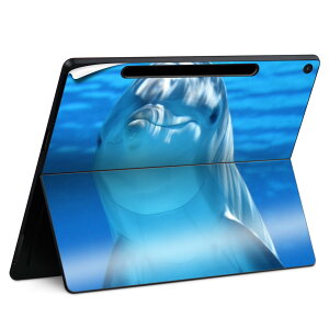 Surface Pro 12 �C���` (2025) �p �X�L���V�[�� �S�ʃX�L���V�[�� �t�� SurfacePro12 �p �w�� �� �X�e�b�J�[ �ی�V�[�� ���i���Ĕ������V�[�g �L�����N�^�[ ���킢�� 023396 �����@��@�l�� 023228 �C���J