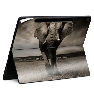 Surface Pro 12 �C���` (2025) �p �X�L���V�[�� �S�ʃX�L���V�[�� �t�� SurfacePro12 �p �w�� �� �X�e�b�J�[ �ی�V�[�� ���i���Ĕ������V�[�g �L�����N�^�[ ���킢�� 023396 �����@��@�l�� 023246 �]�E�@