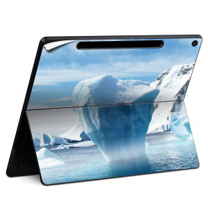 Surface Pro 12 �C���` (2025) �p �X�L���V�[�� �S�ʃX�L���V�[�� �t�� SurfacePro12 �p �w�� �� �X�e�b�J�[ �ی�V�[�� ���i���Ĕ������V�[�g �L�����N�^�[ ���킢�� 023396 �����@��@�l�� 023454 �X�R�@