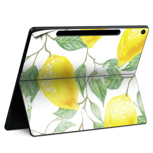 Surface Pro 12 �C���` (2025) �p �X�L���V�[�� �S�ʃX�L���V�[�� �t�� SurfacePro12 �p �w�� �� �X�e�b�J�[ �ی�V�[�� ���i���Ĕ������V�[�g �L�����N�^�[ ���킢�� 023396 �����@��@�l�� 023500 ������