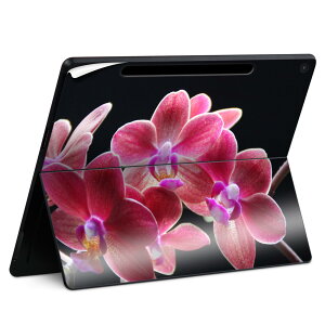 Surface Pro 12 C` (2025) p XLV[ SʃXLV[ t SurfacePro12 p w  XebJ[ یV[ iĔV[g LN^[ 킢 023396 @@l 023629 ԁ@t