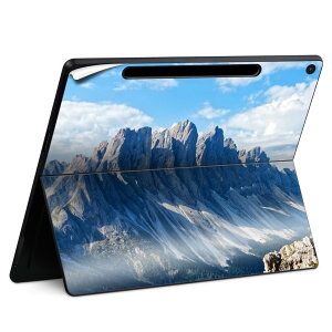 Surface Pro 12 �C���` (2025) �p �X�L���V�[�� �S�ʃX�L���V�[�� �t�� SurfacePro12 �p �w�� �� �X�e�b�J�[ �ی�V�[�� ���i���Ĕ������V�[�g �L�����N�^�[ ���킢�� 023396 �����@��@�l�� 023935 �R�@�i