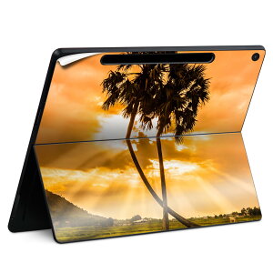 Surface Pro 12 �C���` (2025) �p �X�L���V�[�� �S�ʃX�L���V�[�� �t�� SurfacePro12 �p �w�� �� �X�e�b�J�[ �ی�V�[�� ���i���Ĕ������V�[�g �L�����N�^�[ ���킢�� 023396 �����@��@�l�� 025622 ���V��