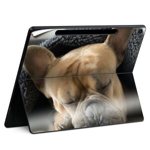Surface Pro 12 �C���` (2025) �p �X�L���V�[�� �S�ʃX�L���V�[�� �t�� SurfacePro12 �p �w�� �� �X�e�b�J�[ �ی�V�[�� ���i���Ĕ������V�[�g �L�����N�^�[ ���킢�� 023396 �����@��@�l�� 025947 �����@