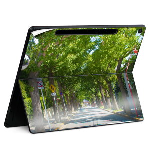 Surface Pro 12 C` (2025) p XLV[ SʃXLV[ t SurfacePro12 p w  XebJ[ یV[ iĔV[g LN^[ 킢 023396 @@l 026014 f