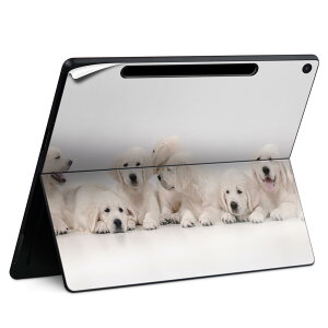 Surface Pro 12 C` (2025) p XLV[ SʃXLV[ t SurfacePro12 p w  XebJ[ یV[ iĔV[g LN^[ 킢 023396 @@l 033580  