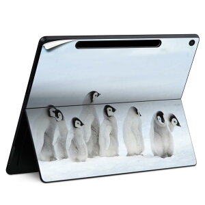 Surface Pro 12 C` (2025) p XLV[ SʃXLV[ t SurfacePro12 p w  XebJ[ یV[ iĔV[g LN^[ 킢 023396 @@l 033638 yM