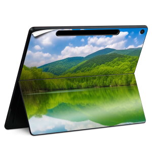 Surface Pro 12 �C���` (2025) �p �X�L���V�[�� �S�ʃX�L���V�[�� �t�� SurfacePro12 �p �w�� �� �X�e�b�J�[ �ی�V�[�� ���i���Ĕ������V�[�g �L�����N�^�[ ���킢�� 023396 �����@��@�l�� 033718 �� ����