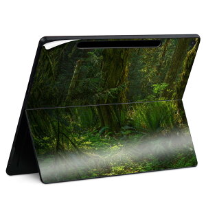 Surface Pro 12 C` (2025) p XLV[ SʃXLV[ t SurfacePro12 p w  XebJ[ یV[ iĔV[g LN^[ 킢 023396 @@l 033720 Gؗ 
