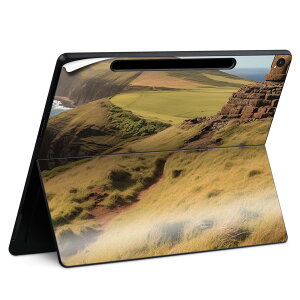 Surface Pro 12 C` (2025) p XLV[ SʃXLV[ t SurfacePro12 p w  XebJ[ یV[ iĔV[g LN^[ 킢 023396 @@l 033727 AC