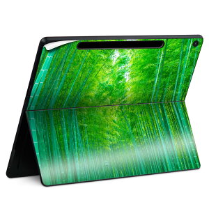 Surface Pro 12 �C���` (2025) �p �X�L���V�[�� �S�ʃX�L���V�[�� �t�� SurfacePro12 �p �w�� �� �X�e�b�J�[ �ی�V�[�� ���i���Ĕ������V�[�g �L�����N�^�[ ���킢�� 023396 �����@��@�l�� 033740 �|�� �a