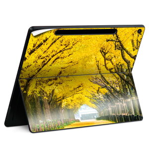 Surface Pro 12 C` (2025) p XLV[ SʃXLV[ t SurfacePro12 p w  XebJ[ یV[ iĔV[g LN^[ 킢 023396 @@l 033790 C`