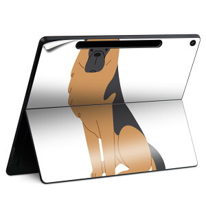 Surface Pro 12 �C���` (2025) �p �X�L���V�[�� �S�ʃX�L���V�[�� �t�� SurfacePro12 �p �w�� �� �X�e�b�J�[ �ی�V�[�� ���i���Ĕ������V�[�g �L�����N�^�[ ���킢�� 023396 �����@��@�l�� 034714 �A�j�}