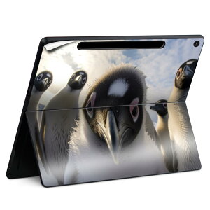 Surface Pro 12 �C���` (2025) �p �X�L���V�[�� �S�ʃX�L���V�[�� �t�� SurfacePro12 �p �w�� �� �X�e�b�J�[ �ی�V�[�� ���i���Ĕ������V�[�g �L�����N�^�[ ���킢�� 023396 �����@��@�l�� 035656 �A�j�}