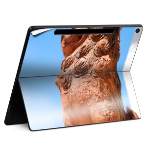 Surface Pro 12 C` (2025) p XLV[ SʃXLV[ t SurfacePro12 p w  XebJ[ یV[ iĔV[g LN^[ 킢 023396 @@l 004542 V[T