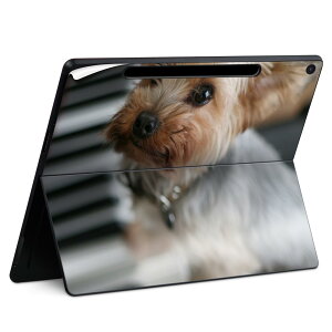 Surface Pro 12 �C���` (2025) �p �X�L���V�[�� �S�ʃX�L���V�[�� �t�� SurfacePro12 �p �w�� �� �X�e�b�J�[ �ی�V�[�� ���i���Ĕ������V�[�g �L�����N�^�[ ���킢�� 023396 �����@��@�l�� 004565 ���@��