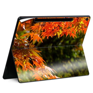 Surface Pro 12 �C���` (2025) �p �X�L���V�[�� �S�ʃX�L���V�[�� �t�� SurfacePro12 �p �w�� �� �X�e�b�J�[ �ی�V�[�� ���i���Ĕ������V�[�g �L�����N�^�[ ���킢�� 023396 �����@��@�l�� 004615 �g�t�@