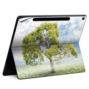 Surface Pro 12 C` (2025) p XLV[ SʃXLV[ t SurfacePro12 p w  XebJ[ یV[ iĔV[g LN^[ 킢 023396 @@l 004647 ؁@