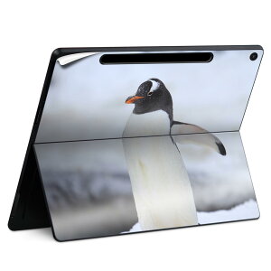 Surface Pro 12 C` (2025) p XLV[ SʃXLV[ t SurfacePro12 p w  XebJ[ یV[ iĔV[g LN^[ 킢 023396 @@l 004679 @