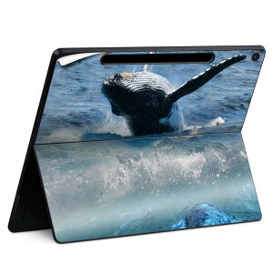 Surface Pro 12 C` (2025) p XLV[ SʃXLV[ t SurfacePro12 p w  XebJ[ یV[ iĔV[g LN^[ 킢 023396 @@l 004897 C@~