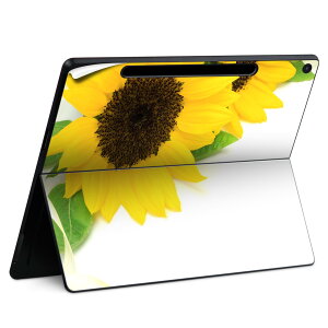 Surface Pro 12 C` (2025) p XLV[ SʃXLV[ t SurfacePro12 p w  XebJ[ یV[ iĔV[g LN^[ 킢 023396 @@l 005164 Ђ܂