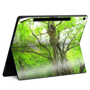 Surface Pro 12 �C���` (2025) �p �X�L���V�[�� �S�ʃX�L���V�[�� �t�� SurfacePro12 �p �w�� �� �X�e�b�J�[ �ی�V�[�� ���i���Ĕ������V�[�g �L�����N�^�[ ���킢�� 023396 �����@��@�l�� 005452 �ʐ^�@