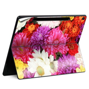 Surface Pro 12 �C���` (2025) �p �X�L���V�[�� �S�ʃX�L���V�[�� �t�� SurfacePro12 �p �w�� �� �X�e�b�J�[ �ی�V�[�� ���i���Ĕ������V�[�g �L�����N�^�[ ���킢�� 023396 �����@��@�l�� 005495 �ʐ^�@