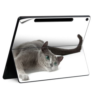 Surface Pro 12 �C���` (2025) �p �X�L���V�[�� �S�ʃX�L���V�[�� �t�� SurfacePro12 �p �w�� �� �X�e�b�J�[ �ی�V�[�� ���i���Ĕ������V�[�g �L�����N�^�[ ���킢�� 023396 �����@��@�l�� 005907 �ʐ^�@