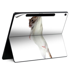 Surface Pro 12 �C���` (2025) �p �X�L���V�[�� �S�ʃX�L���V�[�� �t�� SurfacePro12 �p �w�� �� �X�e�b�J�[ �ی�V�[�� ���i���Ĕ������V�[�g �L�����N�^�[ ���킢�� 023396 �����@��@�l�� 005911 �ʐ^�@