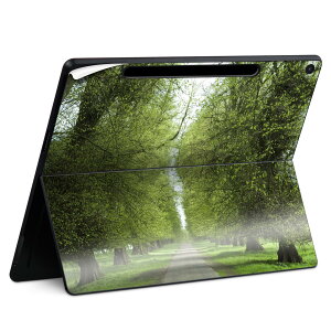 Surface Pro 12 C` (2025) p XLV[ SʃXLV[ t SurfacePro12 p w  XebJ[ یV[ iĔV[g LN^[ 킢 023396 @@l 005918 ʐ^@