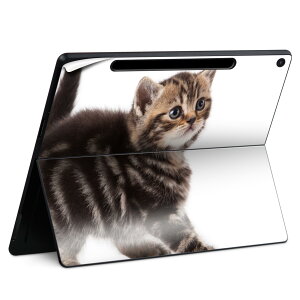 Surface Pro 12 �C���` (2025) �p �X�L���V�[�� �S�ʃX�L���V�[�� �t�� SurfacePro12 �p �w�� �� �X�e�b�J�[ �ی�V�[�� ���i���Ĕ������V�[�g �L�����N�^�[ ���킢�� 023396 �����@��@�l�� 005930 �ʐ^�@