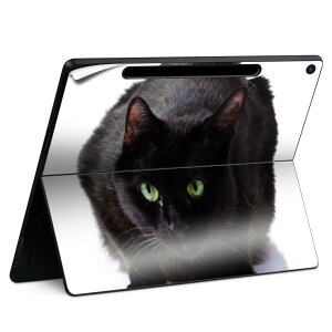 Surface Pro 12 �C���` (2025) �p �X�L���V�[�� �S�ʃX�L���V�[�� �t�� SurfacePro12 �p �w�� �� �X�e�b�J�[ �ی�V�[�� ���i���Ĕ������V�[�g �L�����N�^�[ ���킢�� 023396 �����@��@�l�� 005958 �ʐ^�@