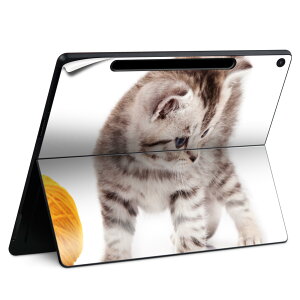 Surface Pro 12 C` (2025) p XLV[ SʃXLV[ t SurfacePro12 p w  XebJ[ یV[ iĔV[g LN^[ 킢 023396 @@l 006228 ʐ^@