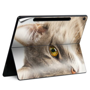 Surface Pro 12 �C���` (2025) �p �X�L���V�[�� �S�ʃX�L���V�[�� �t�� SurfacePro12 �p �w�� �� �X�e�b�J�[ �ی�V�[�� ���i���Ĕ������V�[�g �L�����N�^�[ ���킢�� 023396 �����@��@�l�� 006477 �ʐ^�@