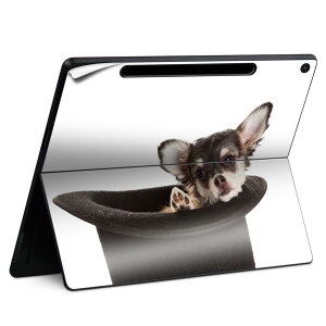 Surface Pro 12 �C���` (2025) �p �X�L���V�[�� �S�ʃX�L���V�[�� �t�� SurfacePro12 �p �w�� �� �X�e�b�J�[ �ی�V�[�� ���i���Ĕ������V�[�g �L�����N�^�[ ���킢�� 023396 �����@��@�l�� 006481 �ʐ^�@